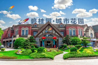 碧桂園違約比恆大更嚴重！衝擊市場信心　胡採蘋：習大大不救不行