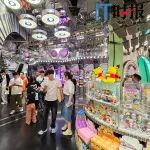 泡泡瑪特三個月直播銷售額過億 线下仍是&ldquo;主战場&rdquo;