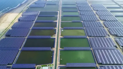 雲豹能源登售電業龍頭寶座！子公司天能太陽光電憑證熱賣
