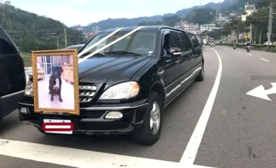 毛孩是重要家人！ 加長靈車豪華告別式　民代曝葬禮行情比人類高