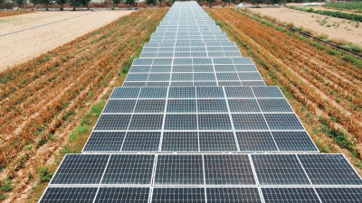 豔陽高照、太陽能股續漲！2檔亮燈漲停、聯合再生寫近8個月高