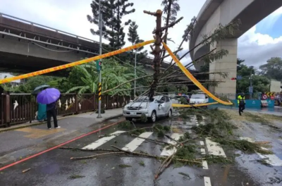 全台13縣市豪大雨！新北土城路樹倒塌　休旅車慘遭擊中、2傷送醫