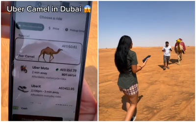杜拜就是狂！短裙女遊沙漠迷路　用Uber叫來駱駝高歌離開