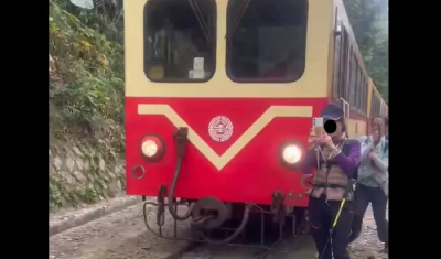 婦闖阿裏山火車軌道被撞將重罰　旅行社「有前科」遭封殺1年
