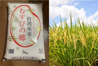 日本米價飆漲！這款「台灣米」超受日本人歡迎　網讚：美味