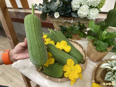 夏日消暑瓜瓜大集合 7種常見瓜類比一比