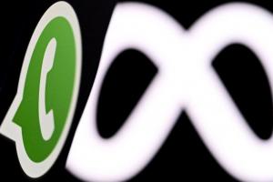 真的來了！WhatsApp iPad版突襲上架、果粉苦等15年