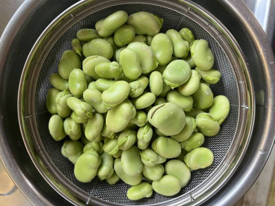 喫蠶豆保留「它」纖維、多酚豐！ 營養師：忌1喫法