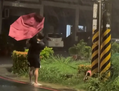 柴犬不怕颱風堅持出門！人柴兩濕又上演了　奴才傘被吹炸開超狼狽