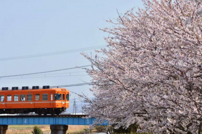 獨／台鐵攜一畑電車推新彩繪列車　將行駛平溪、內灣、集集線