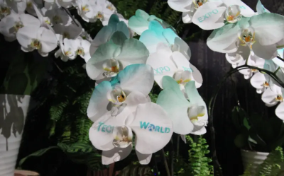 大阪世博Tech World館超夯！名列第五　有96%日本人知道是台灣館