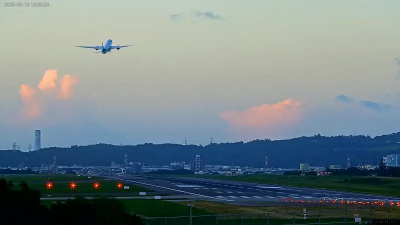 颱風天降落桃園機場！日本作家目睹「全機尖叫嘔吐」：以為會墜機