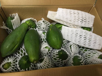 孕婦不能喫木瓜？ 營養師破迷思：關鍵在「成熟度」