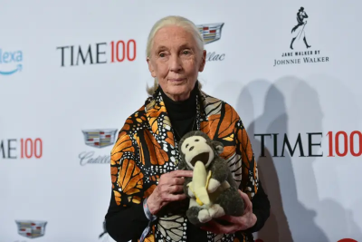 畢生研究靈長類、黑猩猩！英國動物學家珍古德去世　享耆壽91歲