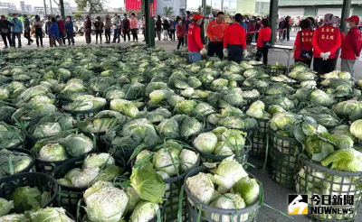 農民搶種高麗菜「連4旬亮警戒紅燈」　農糧署急籲分散種植