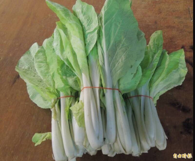 小白菜原來分4種？ 超級蔬菜低熱量、高纖維