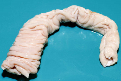 漂白食物超傷身！ 豬大腸、魚丸太白要注意