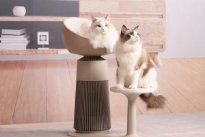 貓奴注意！貓咪專用空氣清淨機來了、竟還有放鬆模式和健康照護