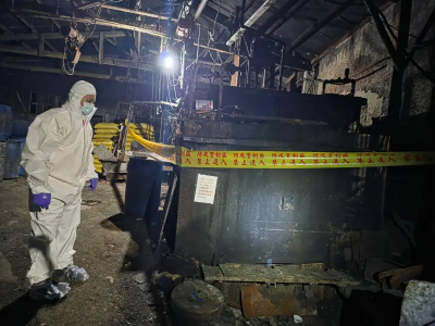 記不住教訓!新北某養豬場被抓包「還用廚餘餵豬」 最慘下場曝光