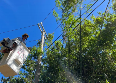 鳳凰颱風逼近　台電動員4000人整備待命
