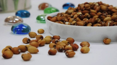 別喫錯！紅薏仁纖維是白薏仁2倍 搭紅豆「這麼煮」更營養