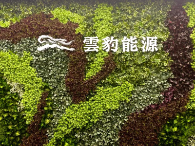 力挺股價、強化市場信心！雲豹能源大規模買回3000張庫藏股