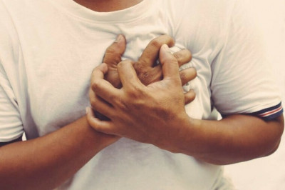 植物性飲食逆轉高血壓 大鼠隱性心臟病不藥而癒