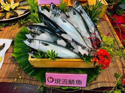 DHA是孕期關鍵營養！ 研究：可減少早產、提升胎兒發育品質