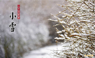 疲倦、痠痛、酷酷嗽 中醫推熬冬茶飲、按穴保健