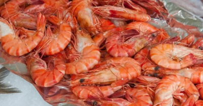 台灣邦交國可望再+1？宏都拉斯反對派提復交政見　外交部慎重回應