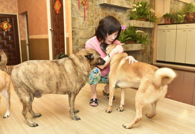 自曝忘記毛小孩病逝多年 營養師推10大健腦食物