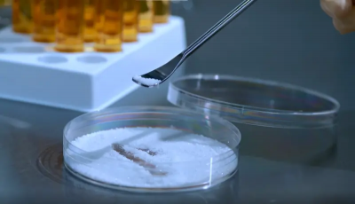 鼎晉長效肉毒桿菌素啟動台三期臨牀　盼改善皺眉紋、明年底前解盲