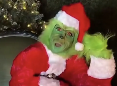 席琳狄翁聖誕節扮《鬼靈精》！天後綠毛遮臉還唱經典歌　粉絲瘋狂