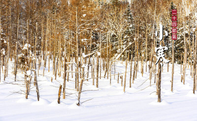 不要再進補囉！ 醫：出現4症狀就是補過頭