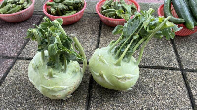 大頭菜維生素C、纖維多 農糧署推4料理脆甜又健康