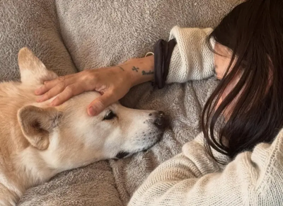 孝利家民宿Guana病逝！李尚順曬愛犬最後對視照　15年陪伴成回憶