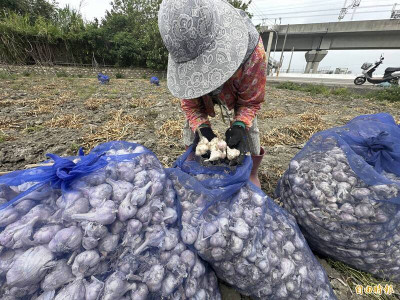 喫蒜降血壓 有上限！一天別超過這個量