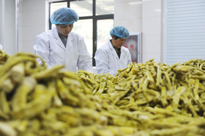 潛在超級食物！研究：竹筍有助代謝健康、穩定血糖