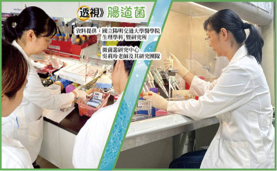 腸道菌是隱形充電器 多餵4大類食物能量加倍