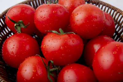 智勝攝護腺癌 網紅醫：飲食能遠離癌症