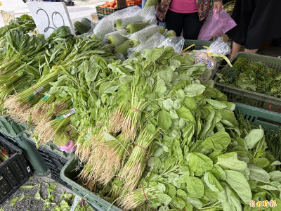 連假9天不怕！農改場直授蔬菜延長保鮮祕訣