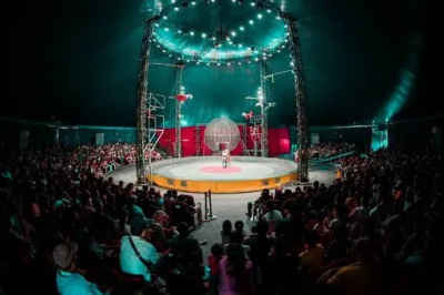 從1.5層樓高處墜落！後裏馬場馬戲團出事　15歲外籍少年骨折送醫