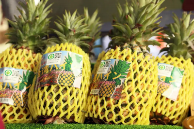 7年換旺來！農業部：台灣鳳梨今年可望首度外銷美國市場