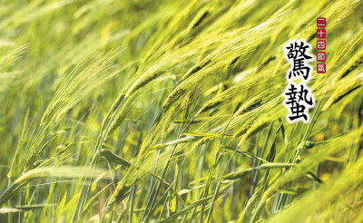 台人喫梨 日本得喫「苦」 韓國喝它最特別