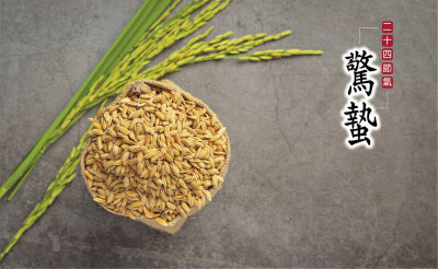 春雷響身體也要醒 醫揭必喫4大食材