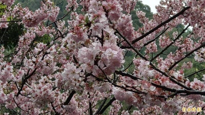 春分帶來生命力 中醫談飲食建議