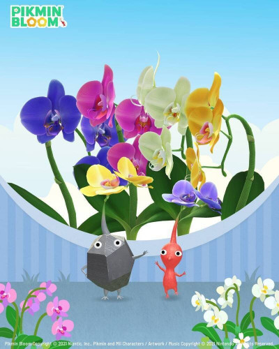 皮克敏手遊夯 天天萬步走！醫：走7千步也很健康