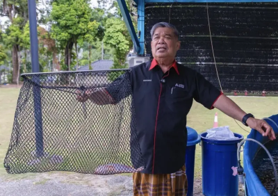 中東危機衝擊糧食供應！大馬農糧部長帶頭示範　鼓勵全民種菜養魚