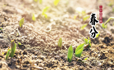 長高黃金百日！ 中醫揭日、韓好物也別錯過