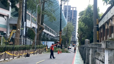 桃園巨蛋整修遭控砍樹　市府秀報告：汰換不良樹種防竄根危害